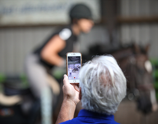 5 Things You Need to Know Before Buying a Horse Off a Video