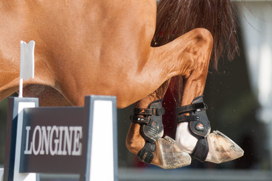 Fetlock Boots Disqualify Roger Yves Bost from Opening Round of FEI Nations Cup Jumping Final