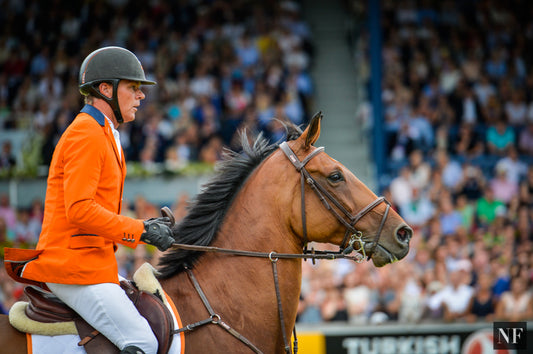 Jeroen Dubbeldam will ride SFN Zenith N.O.P. (pictured) in show jumping at the Rio Olympic Games.