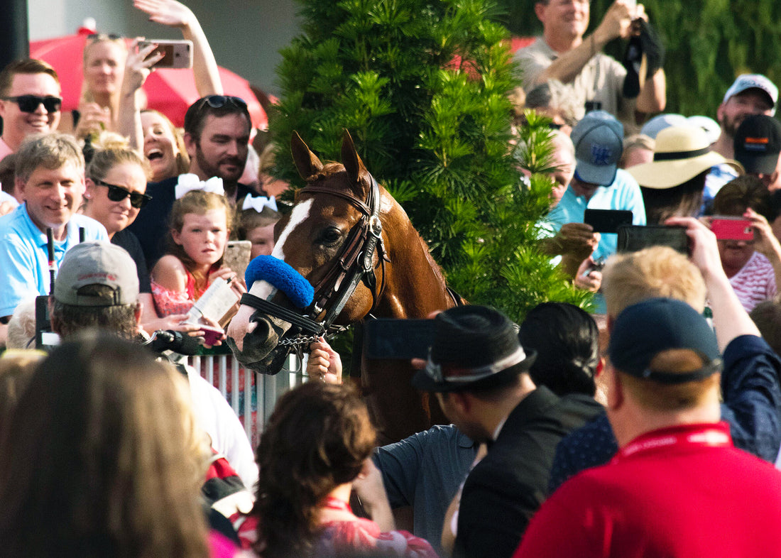 Being a Justify Fangirl Inspired Me to Rethink What Show Jumping Can Be