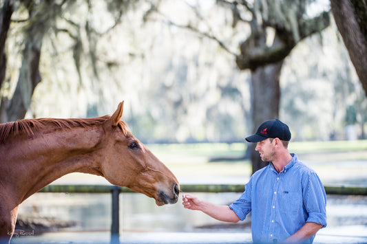 Be a Good Friend: 5 Ways to Improve Your Relationship with Your Horse