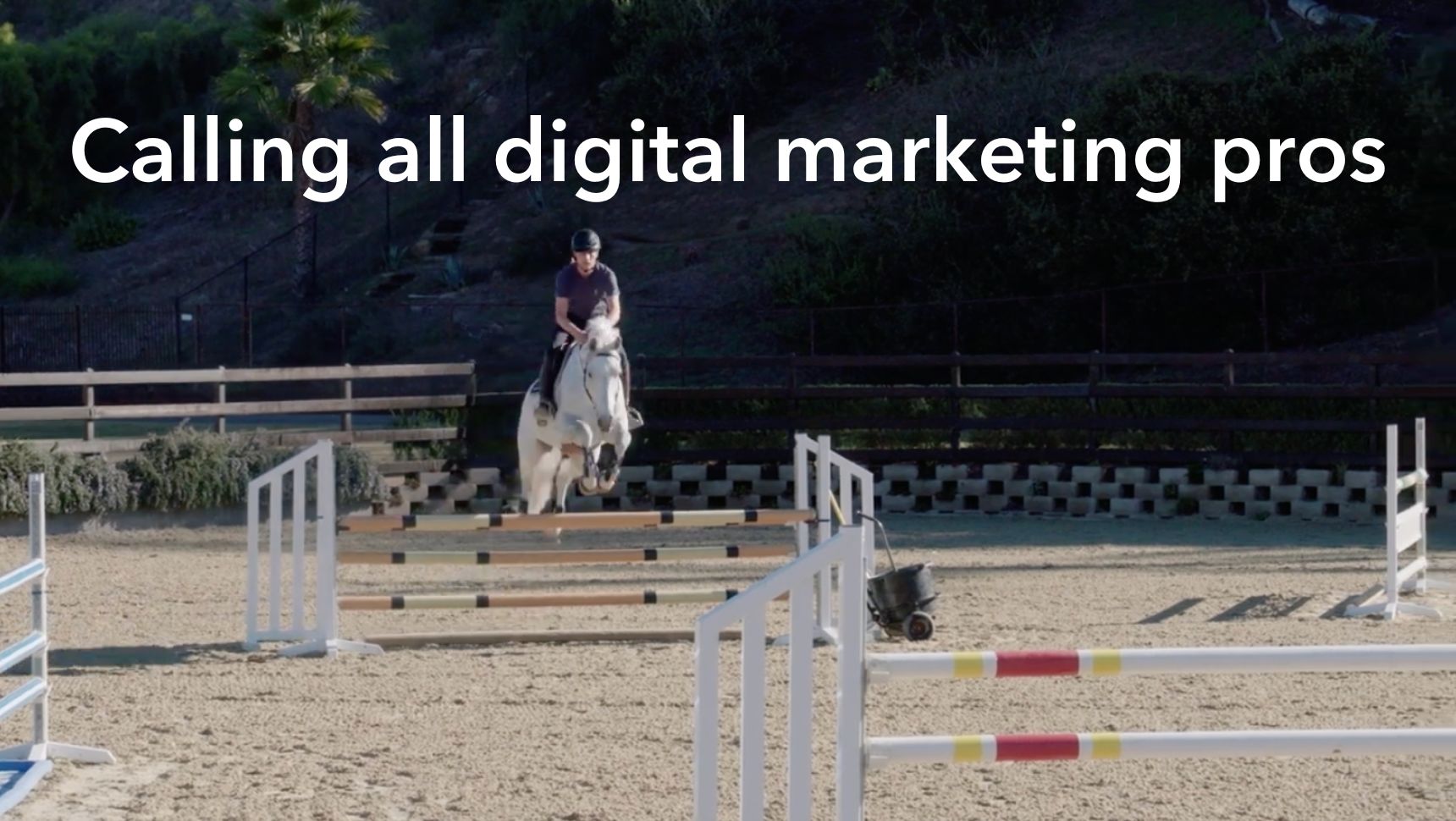 We're Looking for a Paid Media Specialist! 🌟