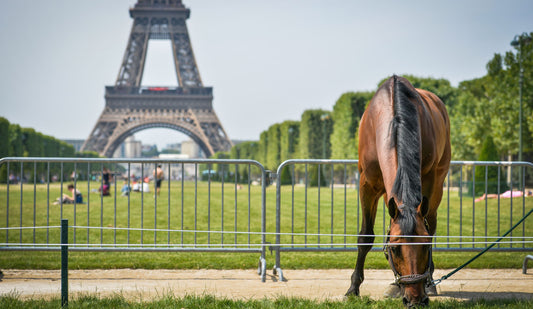 Western European League Riders Qualified For 2018 Longines FEI World Cup™ Jumping Final