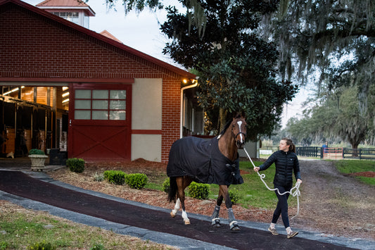 Planning to Head South? Here’s How to Make Sure Your Horse Is Ready Too