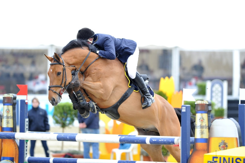 Lord_of_Arabia_John_Whitaker_Hagen_12_INT