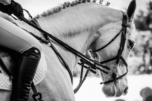 Where Do We Go from Here? One Rider's Hope For a Post-COVID Horse Industry