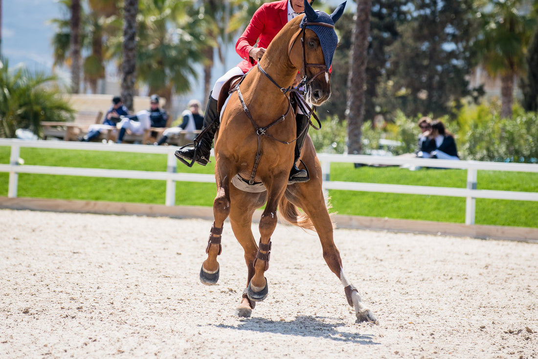 Cool Your Jets: 4 Tips for Working With Hot Horses