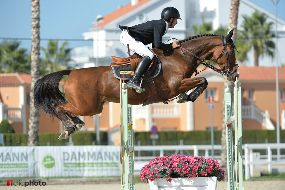 Harold Boisset and Quolita Z on their way to victory at the Autumn MET, in the CSI2* Grand Prix presented by Grupo CHG. Ph. © Hervé Bonnaud 