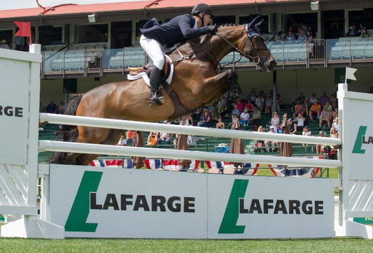 McLain Ward & HH Carlos Z Complete Speed Domination With Lafarge Cup CSI5* Victory at Spruce