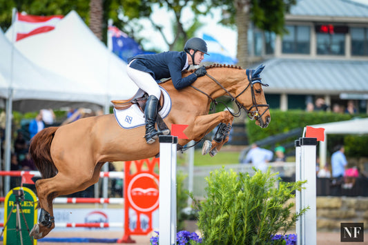 McLain Ward & HH Ashley compete at the 2016 Winter Equestrian Festival