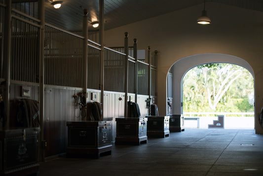 Channel Marie Kondo and Find Joy in a Tidied Up Tack Room