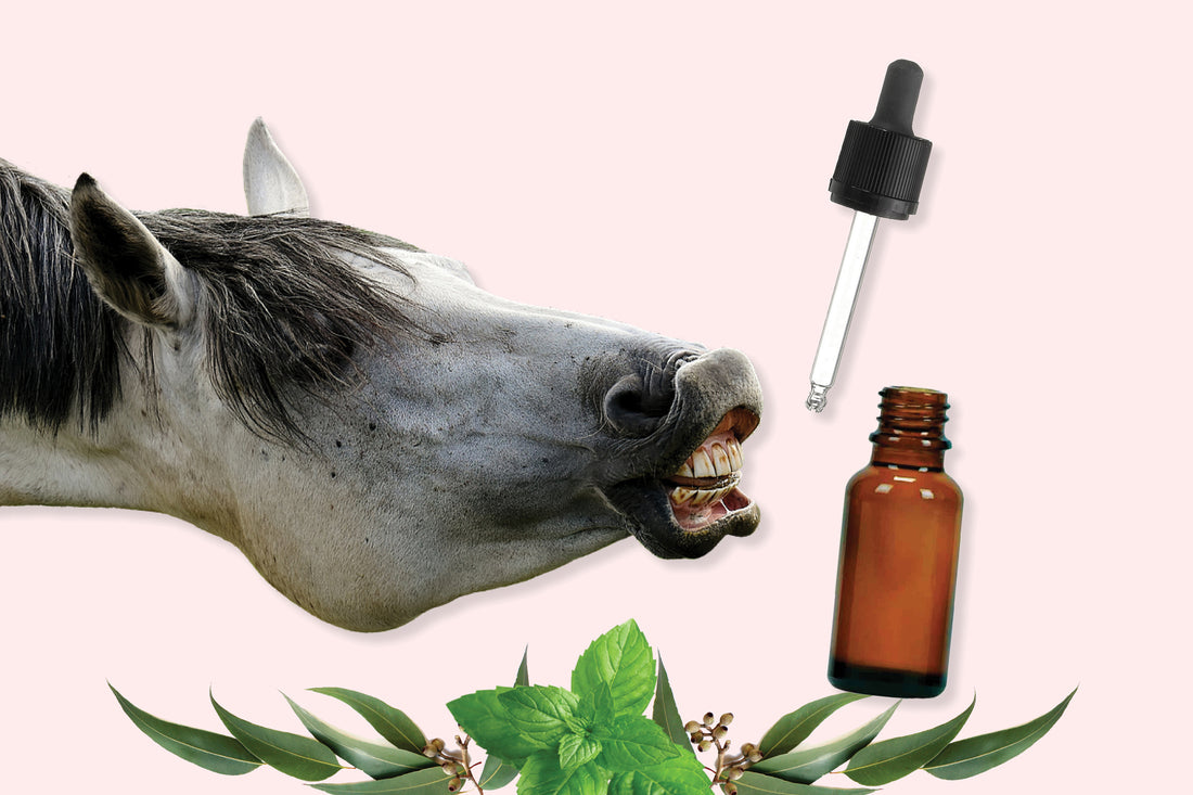 Young Living, dōTERRA, Plant Therapy... Do Essential Oils Have a Place in the Barn?