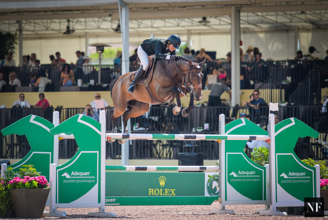 International Riders List for WEF Week 11 CSI2*