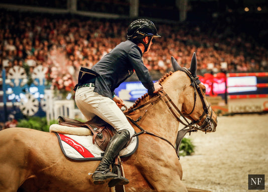 Bertram Allen and Quiet Easy compete in the Olympia Grand Prix, December 2015. Ph. Jessica Rodrigues/RB Presse