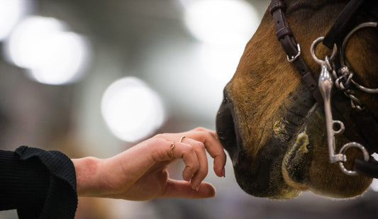 Ask Us: “My boyfriend is complaining I spend too much time at the barn...”