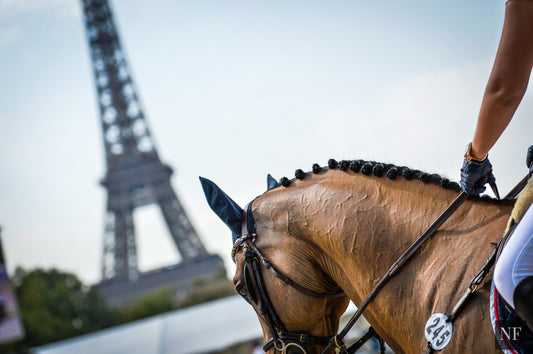 LGCT Paris 2015. Ph ©Erin Gilmore/NoelleFloyd.com