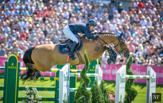 Quick Study and Lauren Hough competing at CSI5* Dinard in August, 2015. 