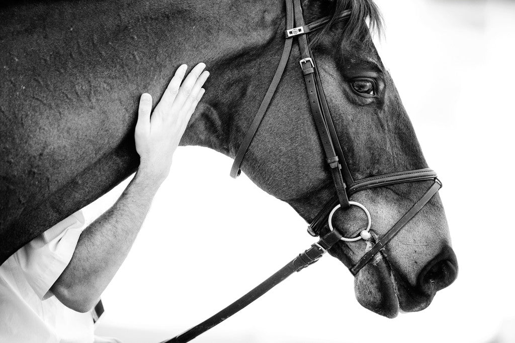 Olympic Test Event at Deodoro, August, 2015. Ph. Rafael Maeck/FEI