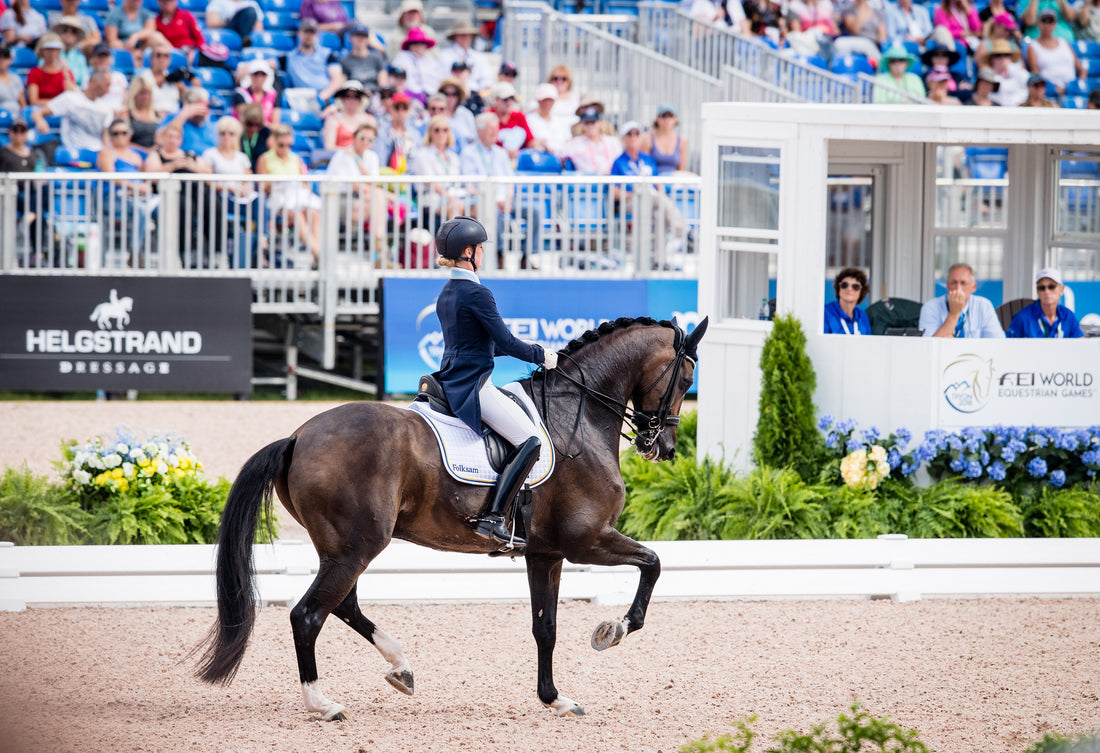 Dressage Freestyle at World Equestrian Games Cancelled