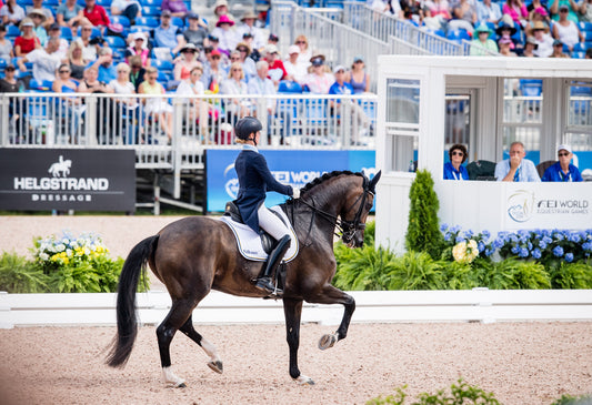 Dressage Freestyle at World Equestrian Games Cancelled