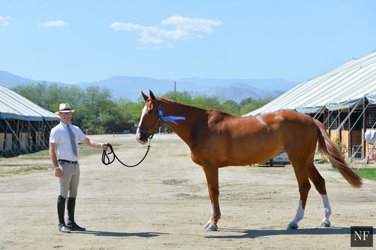 USA's Ray Texel and Baldira