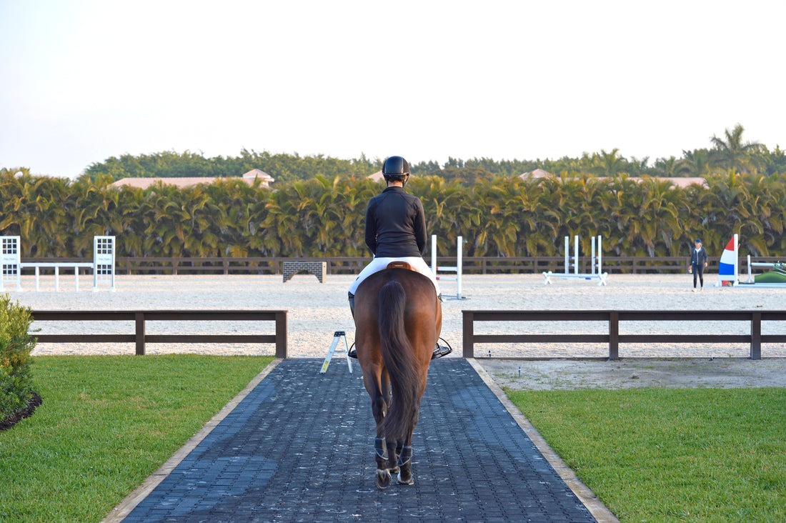 Five Questions to Ask When Choosing a New Barn