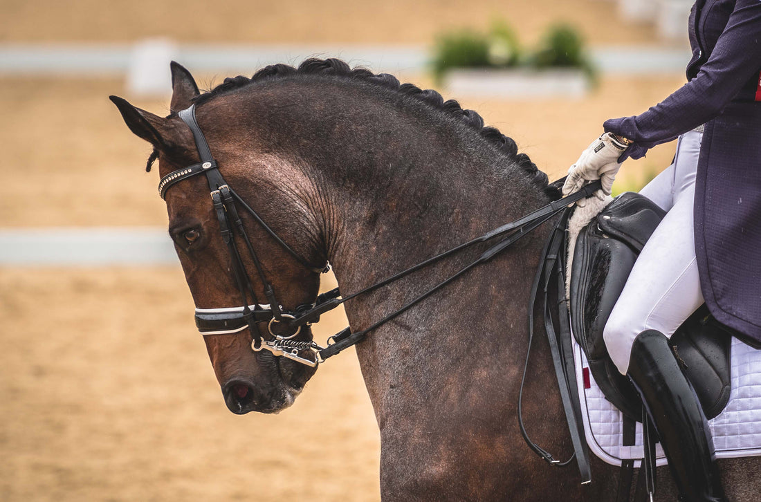 Stübben Freedom II Magic Tack Bridle- Dressage Tack Stübben Freedom II Magic Tack Bridle- Dressage Tack