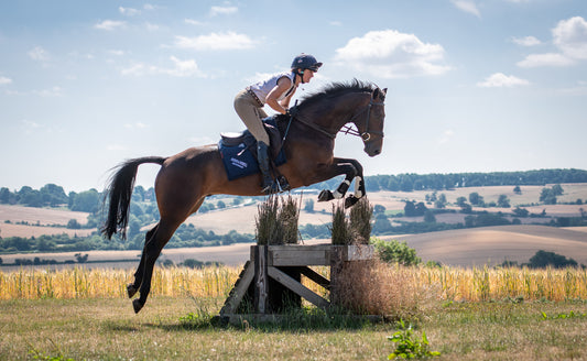 Building a Future: Piggy French's Secrets to Training the Five-Year-Old Horse