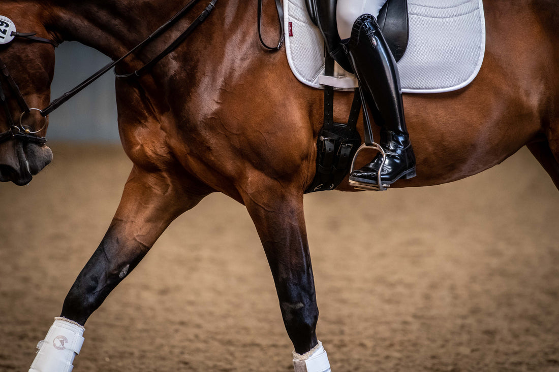 Help! My Horse Won't Stay Slim: Max Corcoran on Managing the "Easy Keeper"