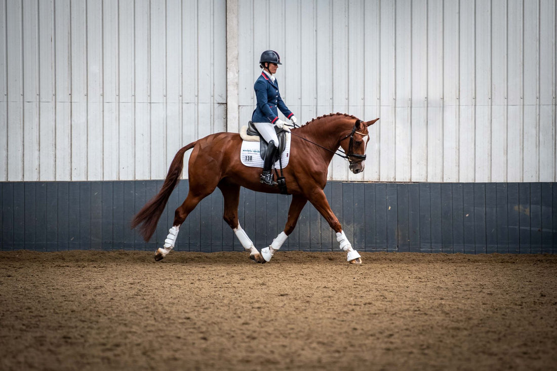 Watch and Try: How to Test Whether Your Horse Is *Really* In Front of Your Leg