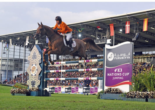 Gerco Schroder (NED) riding London at 2013 Furusiyya Nations Cup event at CHIO Aachen - BWP Photo: Kate Houghton/FEI