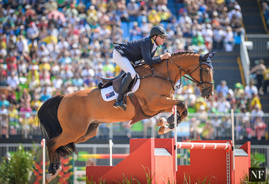 Scott Keach and Fedor compete at the Rio Olympic Games.