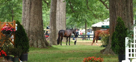 UppervilleHorseShow