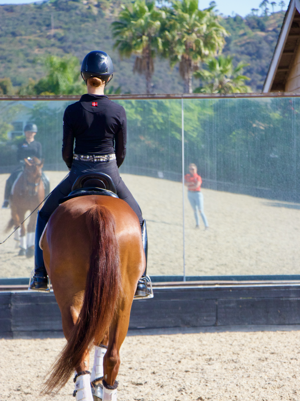 Rider Biomechanics: How Do We Spot and Feel Asymmetry in the Saddle?