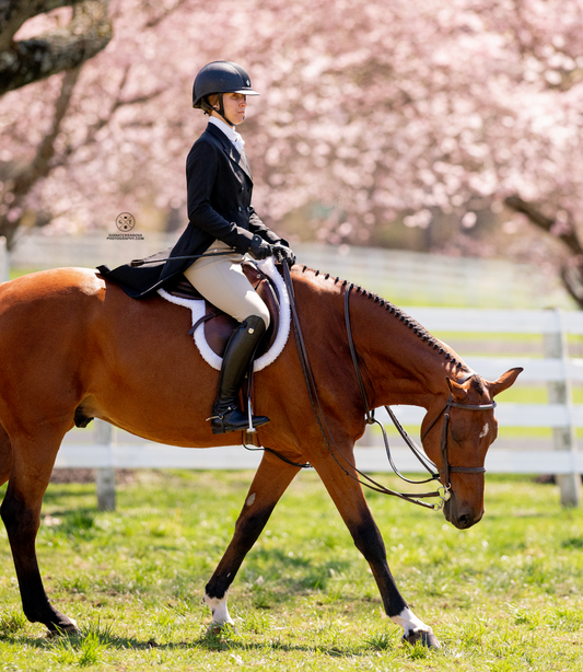 Why Equitation Still Matters, According to the Winners of ANRC