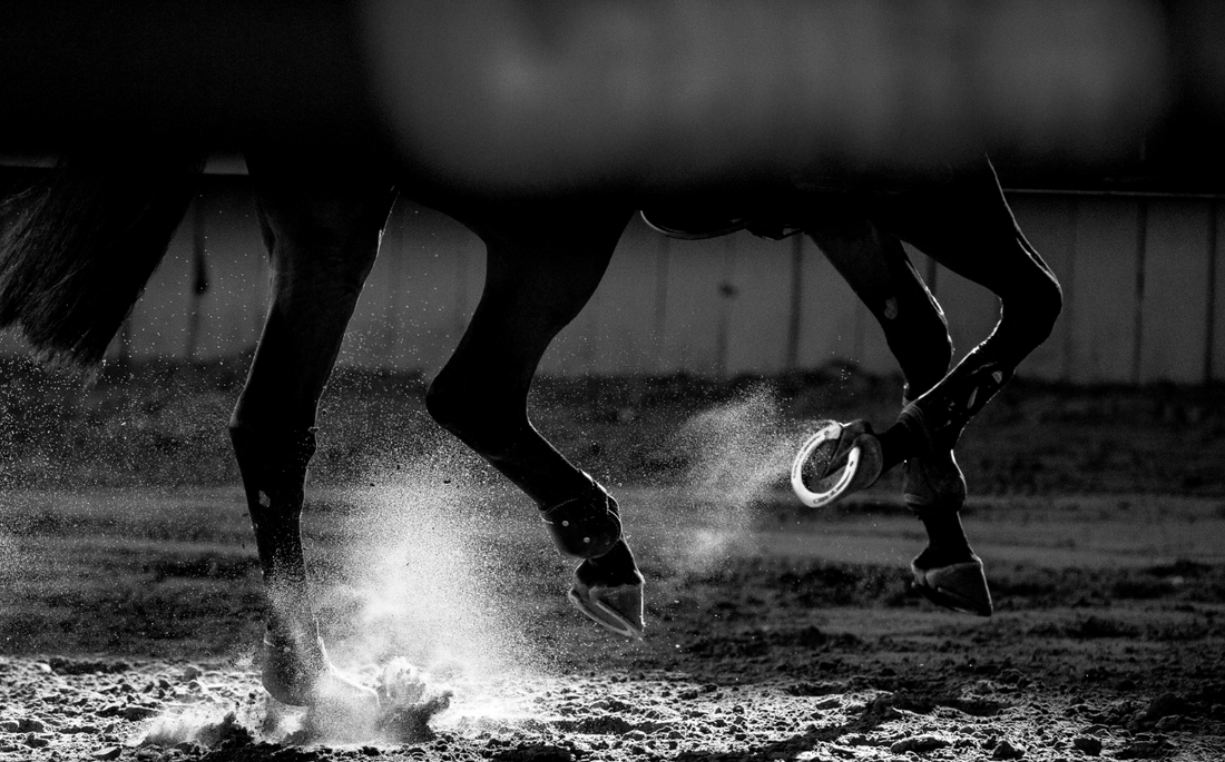 Myth or Bust:  All Horses Can Be Barefoot