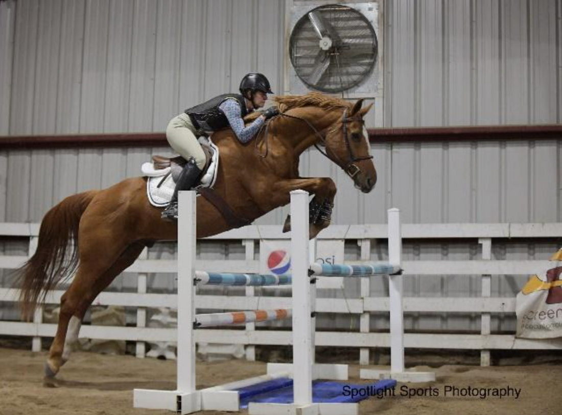 Making Comebacks Bigger than Setbacks: A Q&A Session with Elite Equine CO