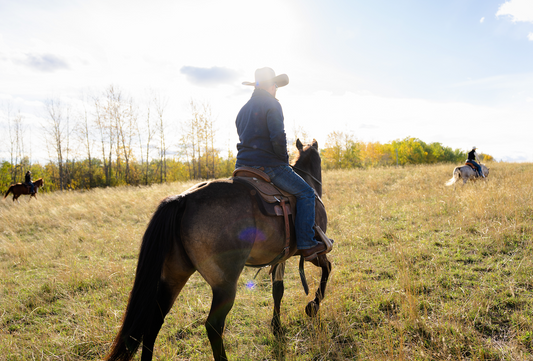 The Right Horse: How to figure out if  you and your horse are a good match