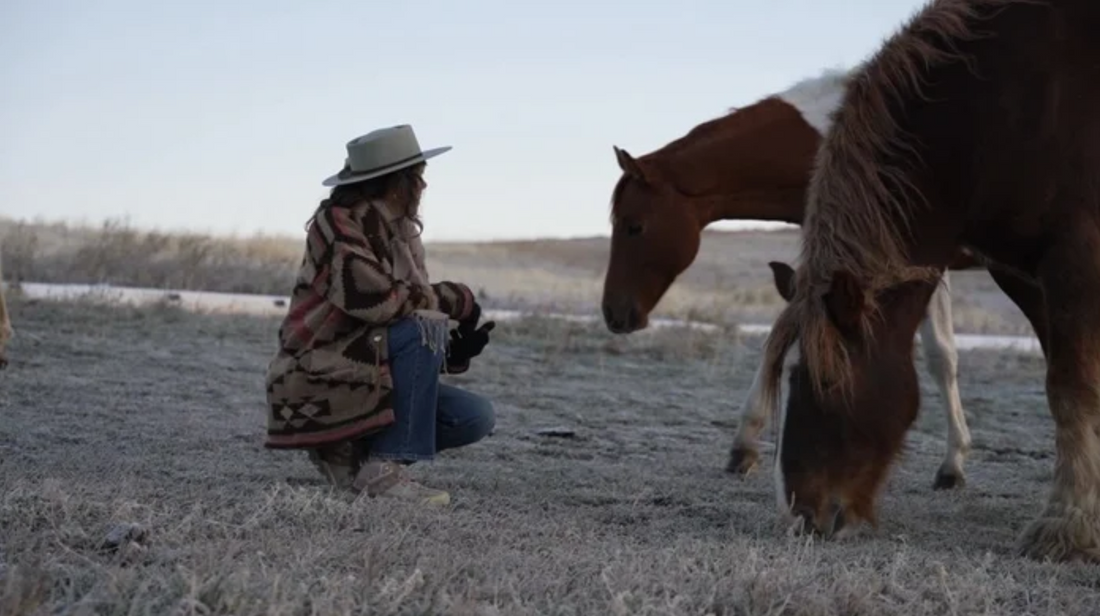 The Reflective Horse® with Cassandra Ogier – Building Connection Through Energy, Intention and Presence