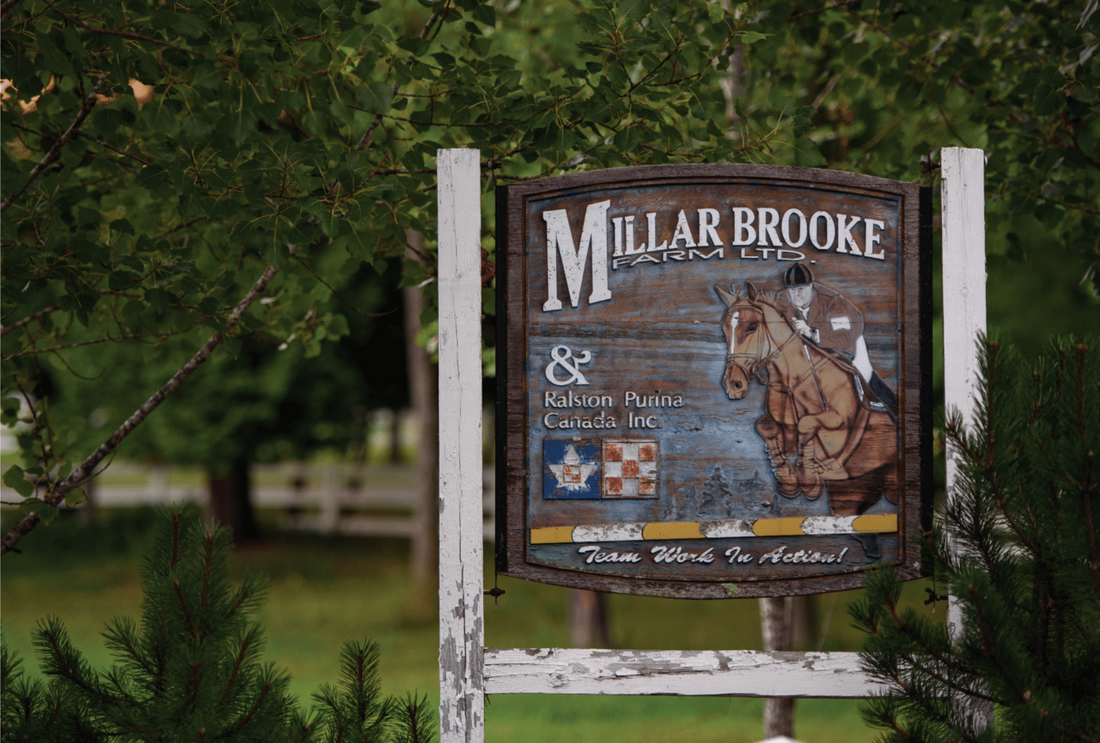 Millar Brooke Farm | Ian Millar & Amy Millar