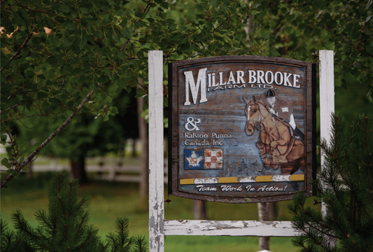 Millar Brooke Farm | Ian Millar & Amy Millar