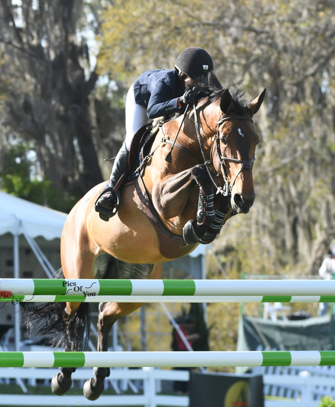 Jessica Springsteen & Davendy S Pick Up Speed Opener at Live Oak CSI3*-W