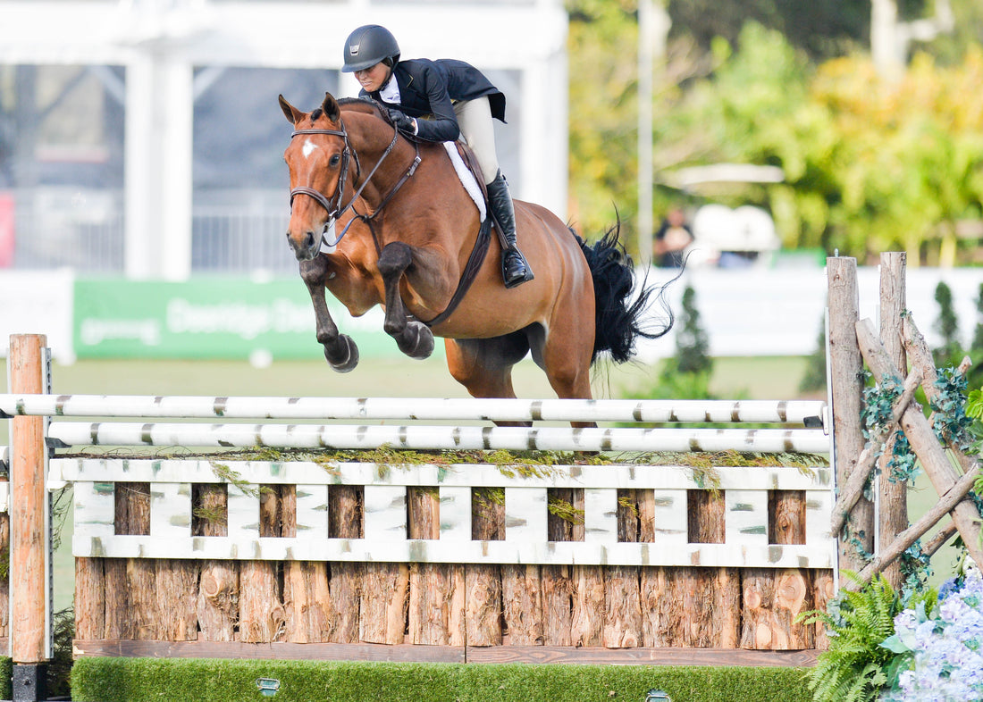 Welcome to Amateur Status: 3 Skills You Already Have That Will Help You Transition from Equitation to Jumpers