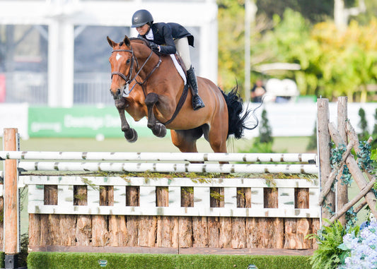 Welcome to Amateur Status: 3 Skills You Already Have That Will Help You Transition from Equitation to Jumpers