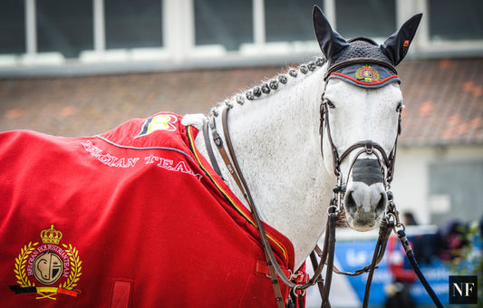 Team Belgium