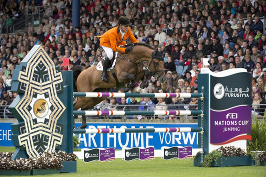 Leon Thijssen (NED) riding Tyson - KWPN Photo: Kate Houghton/FEI