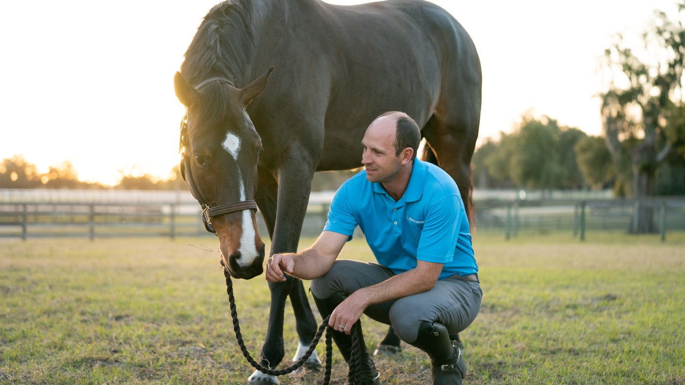 Tik Maynard teaches Understanding Horse Behavior