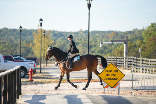 A Spectator's Guide to WEG