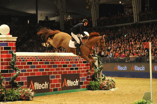 VERLOOY Jos ( BEL ) riding Sunshine joint winner puissance