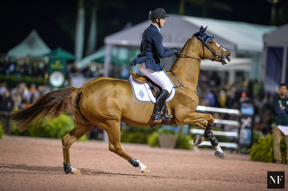 International Riders List for WEF Week 7 CSI5*